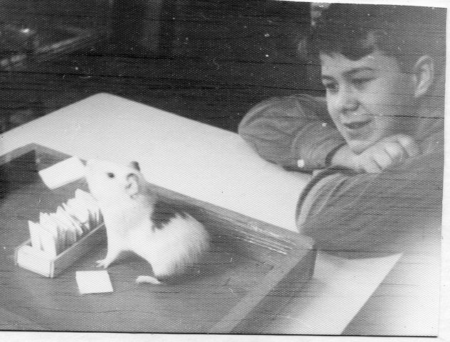 Выпуск 1977